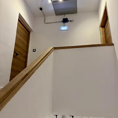 The Orange Teddy Bear * Gijón